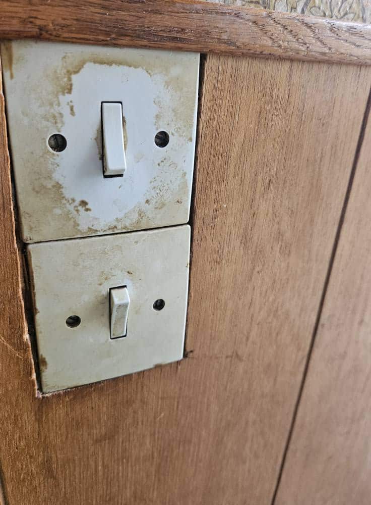 517175277_122142008300759280_4768604768556840733_n